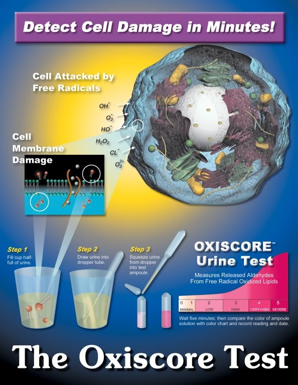 free-radical-oxidative-damage-description