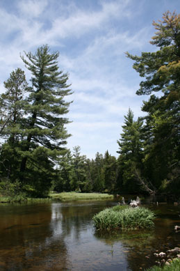 Mercury contamination in rivers and streams